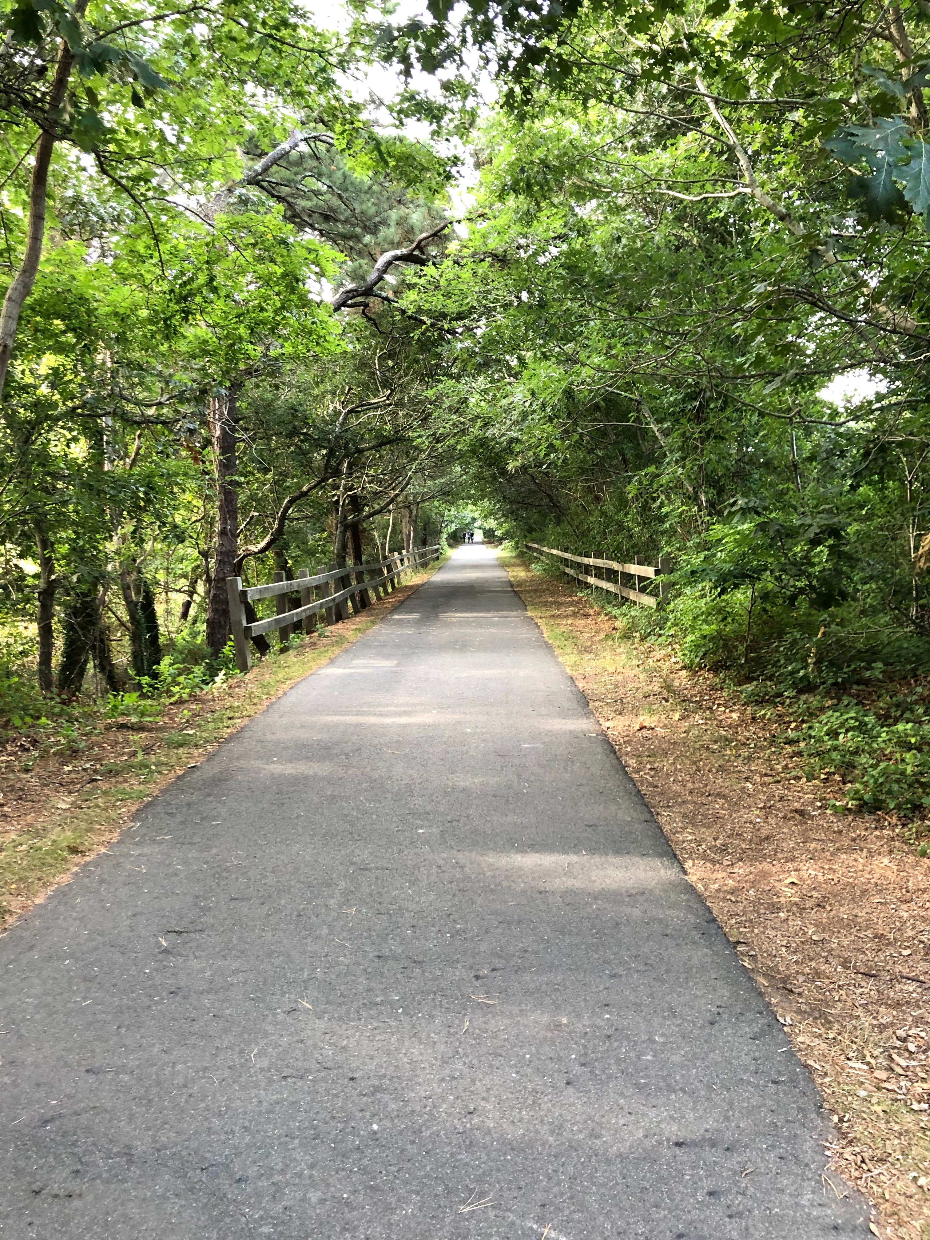 Camper submitted image from Atlantic Oaks Campground - 2