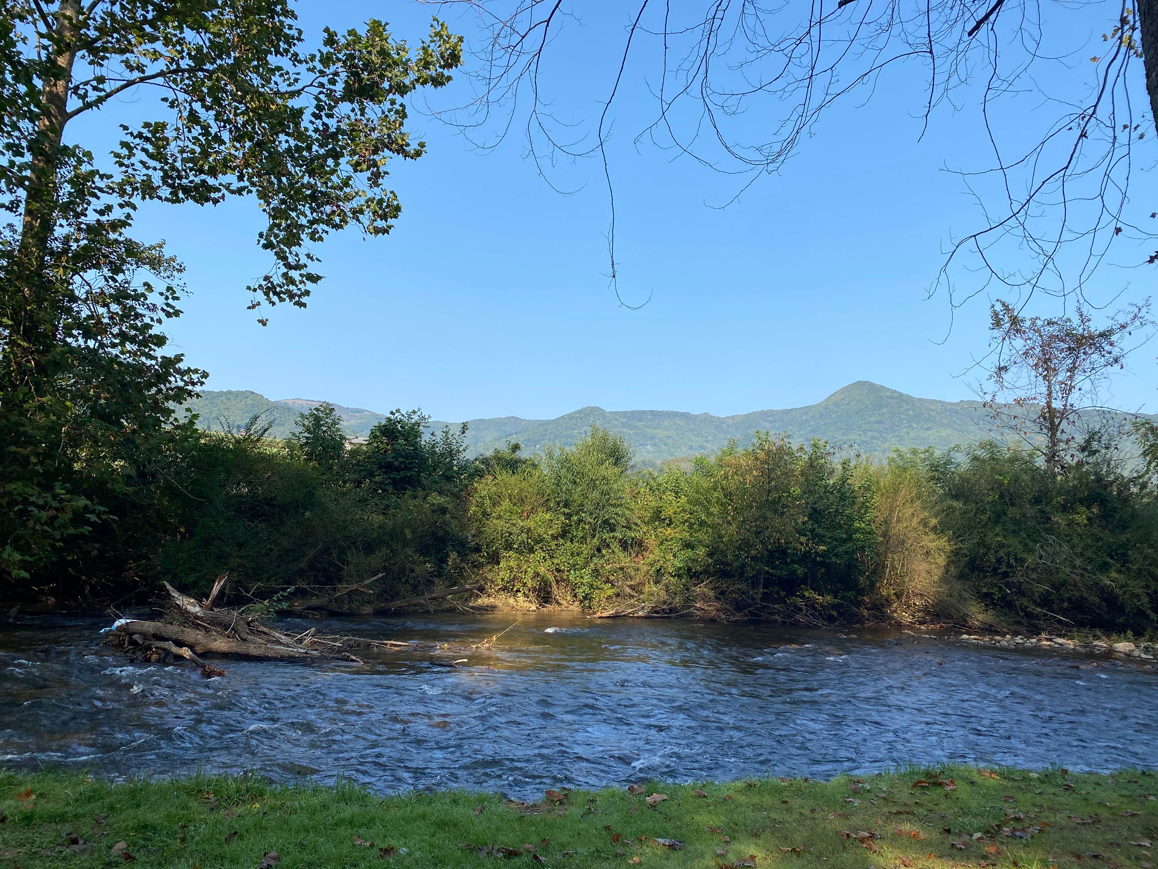 Camper-submitted photo at Winngray Family Campground near Canton, NC