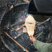 Review photo of Rivers Bend Group Campground — Delaware Water Gap National Recreation Area by Christopher W., May 19, 2018