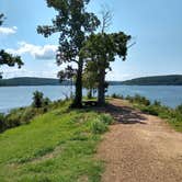 Review photo of Sequoyah Bay Marina and Cabins — Sequoyah Bay State Park by David M., October 4, 2020