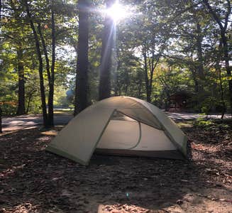 Camper-submitted photo from Lake Fairfax Campground