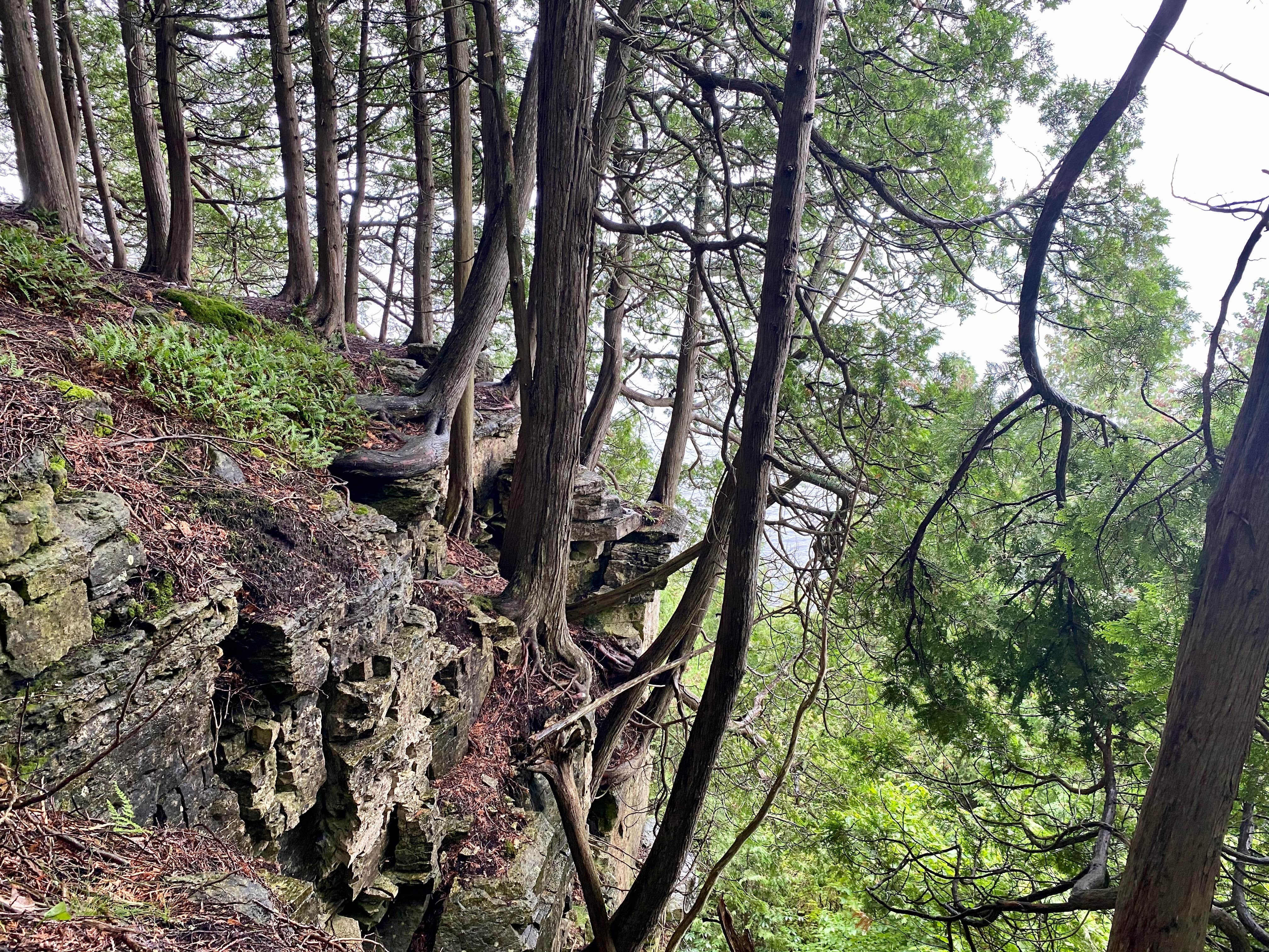 Camper-submitted photo at Baileys Woods Campground near Sister Bay, WI