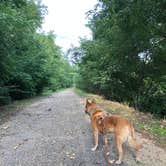 Review photo of Hennepin Canal Lock 22 Campground by Art S., October 4, 2020