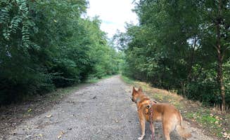 Art S.'s photo of camping with pets at Hennepin Canal Lock 22 Campground near Morrison, IL