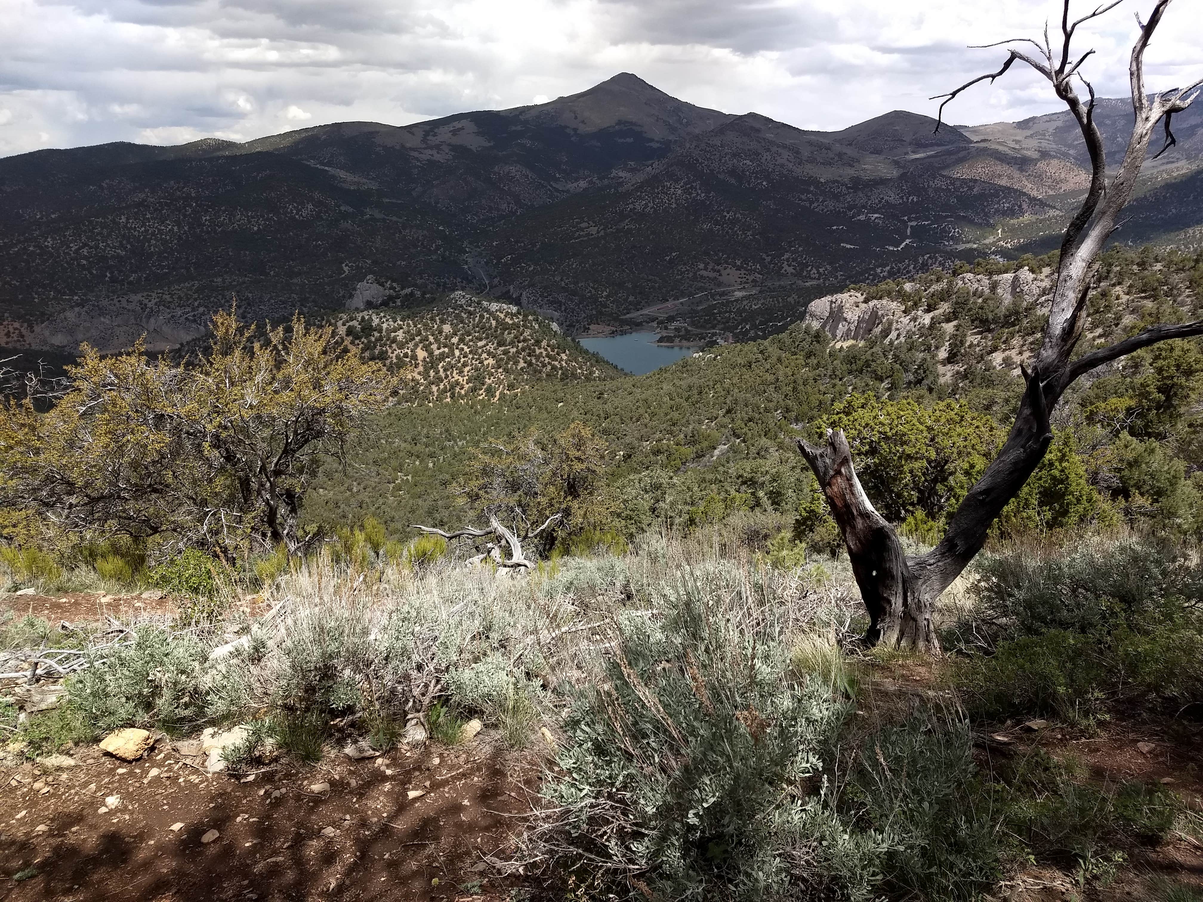 Camper submitted image from Lake View Campground — Cave Lake State Park - 2