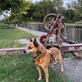 Review photo of Hennepin Canal Lock 22 Campground by Art S., October 4, 2020
