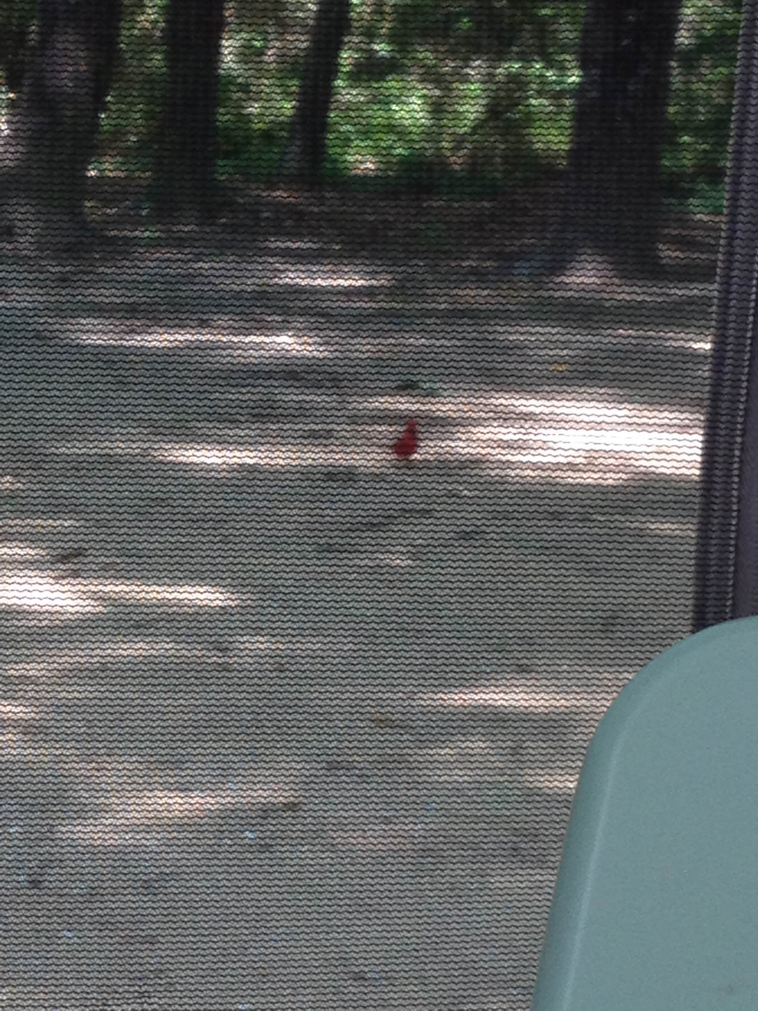 Camper-submitted photo at Chickasabogue Park - Temporarily Closed near Daphne, AL