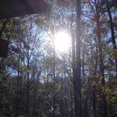 Review photo of Blakeley State Park Campground by Karen L., May 17, 2018