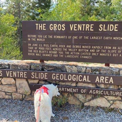 Jade G.'s photo of camping with pets at Gros Ventre Campground — Grand Teton National Park near Grand Teton National Park