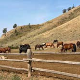 Review photo of Gros Ventre Campground — Grand Teton National Park by Jade G., October 4, 2020