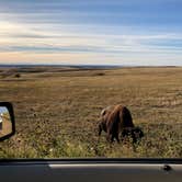 Review photo of Sage Creek Campground by Matthew V., October 4, 2020