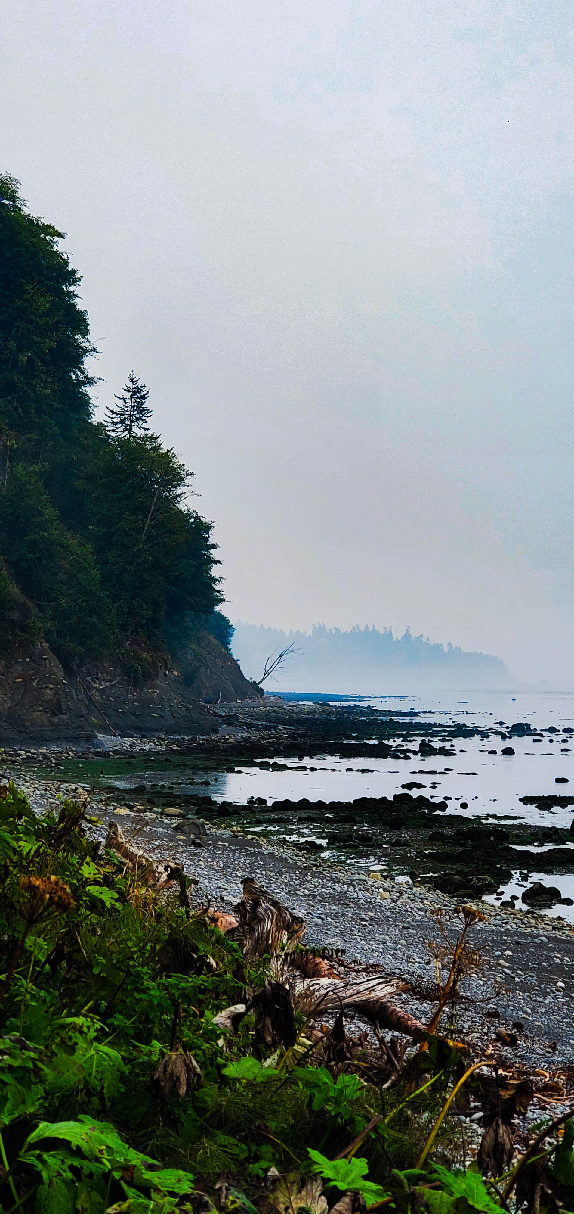 Camper submitted image from Whiskey Creek Beach NW - 5