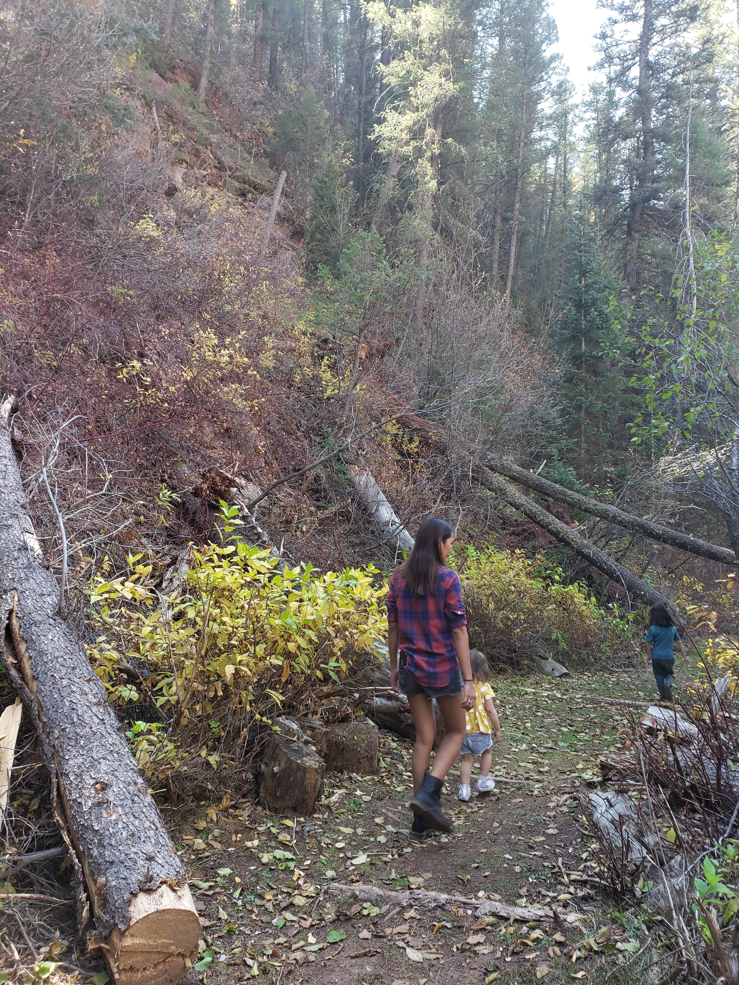 Camper-submitted photo at Priest Gulch Campground and RV Park Cabins and Lodge near Rico, CO
