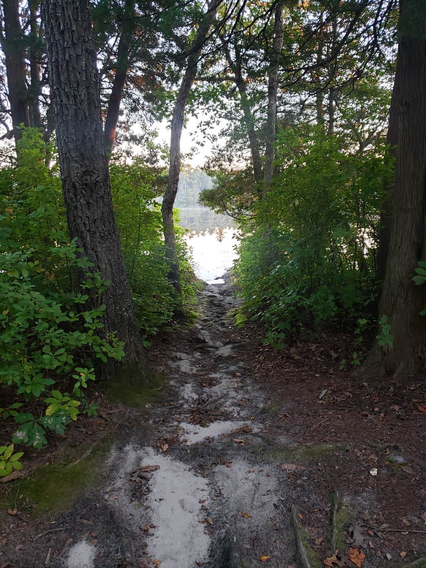 Atsion Family Campground Camping The Dyrt