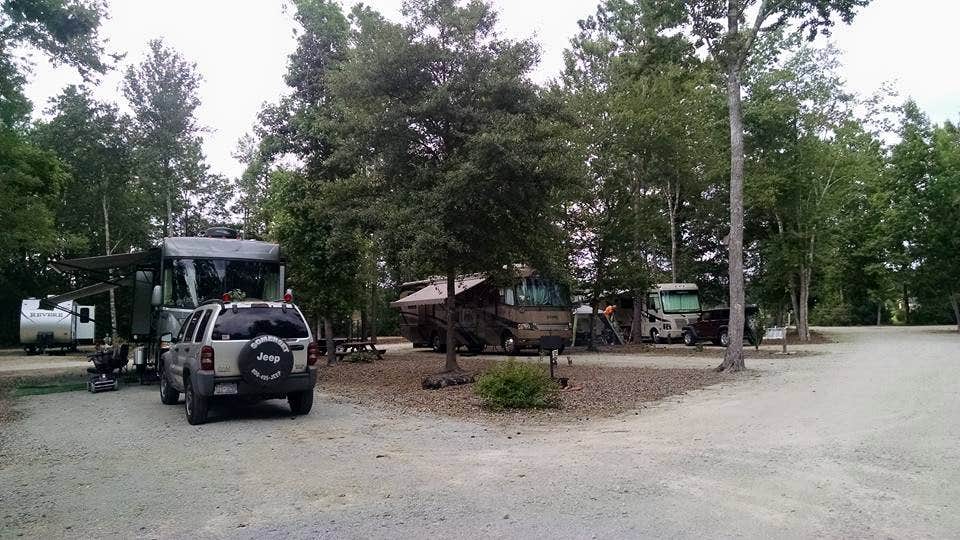 Camper submitted image from CarrollWoods RV Park at Grapefull Sisters Vineyard - 4