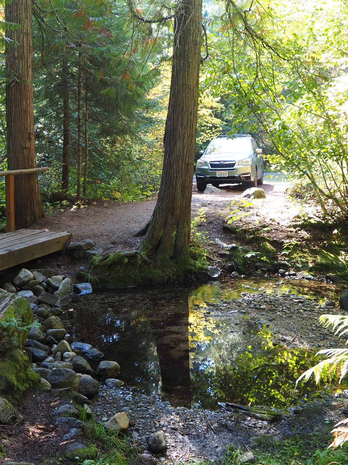 Camper submitted image from Chatter Creek Group Site - 3