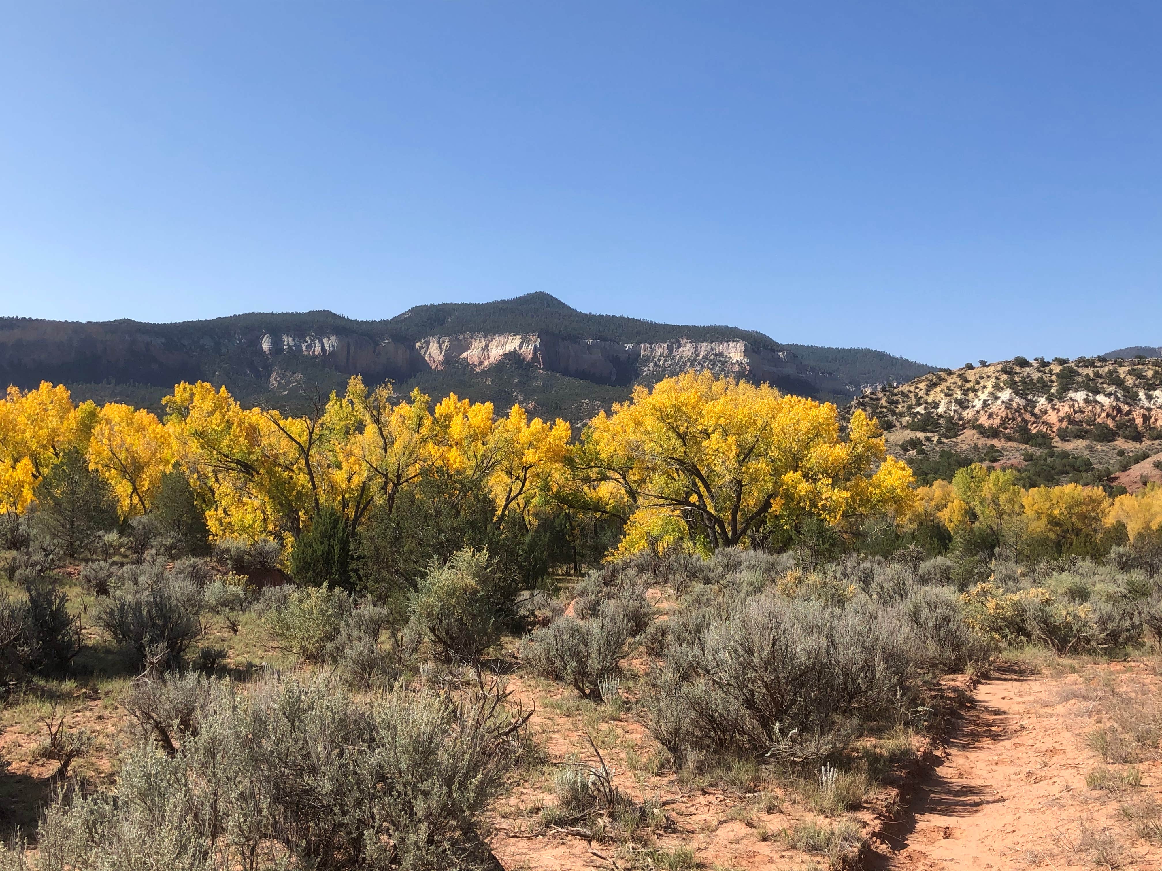 Camper-submitted photo at Rio Chama Campground near Youngsville, NM