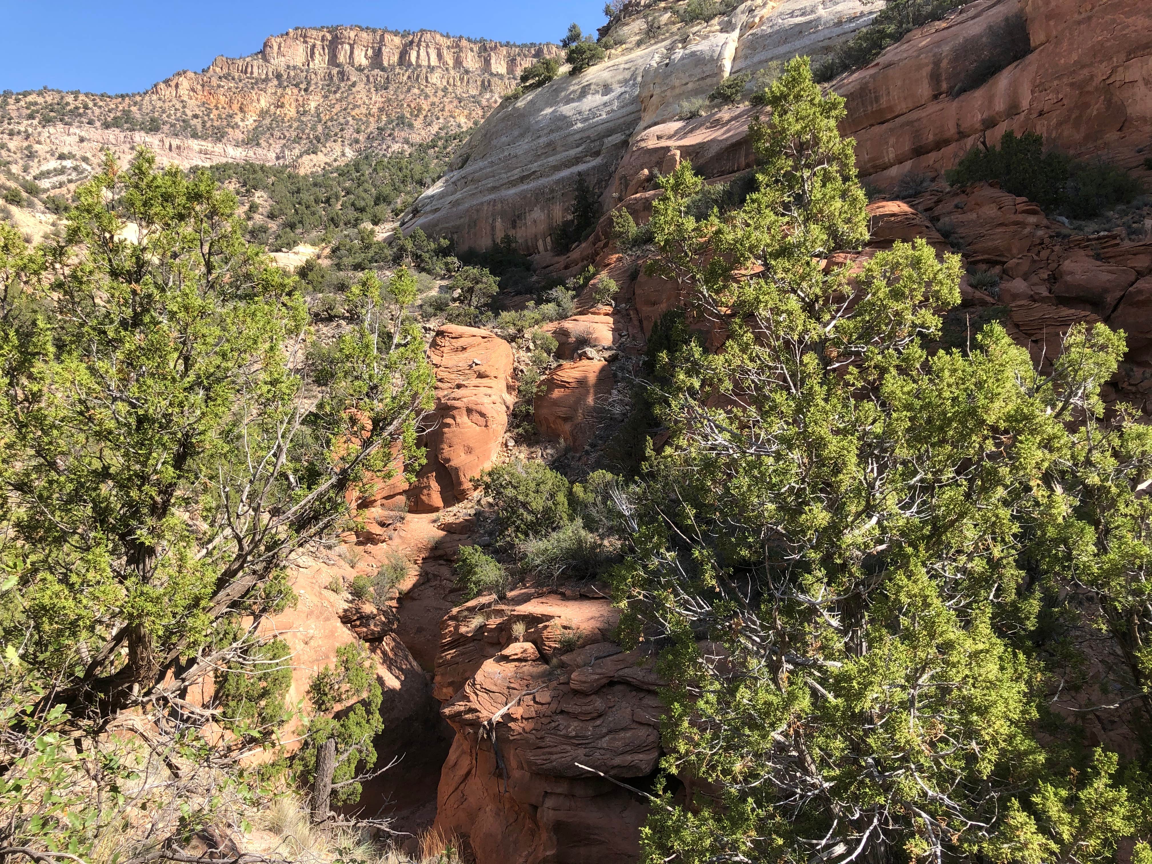 Camper-submitted photo at Rio Chama Campground near Youngsville, NM
