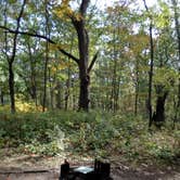 Review photo of Dunewood Campground — Indiana Dunes National Park by Debra M., October 4, 2020