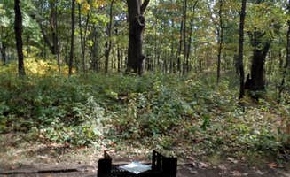 Debra M.'s photo at Dunewood Campground — Indiana Dunes National Park near Dolton, IL