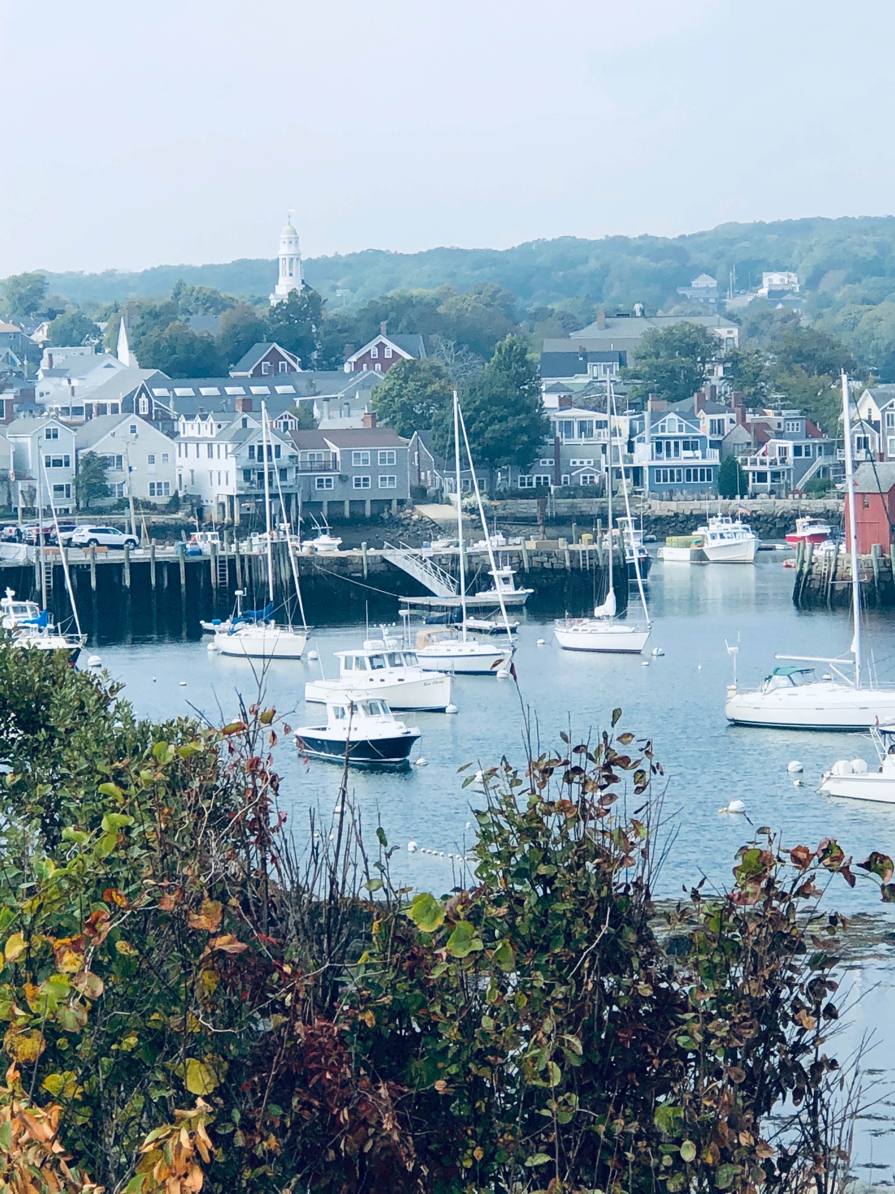 Camper submitted image from Cape Ann Camp Site - 2