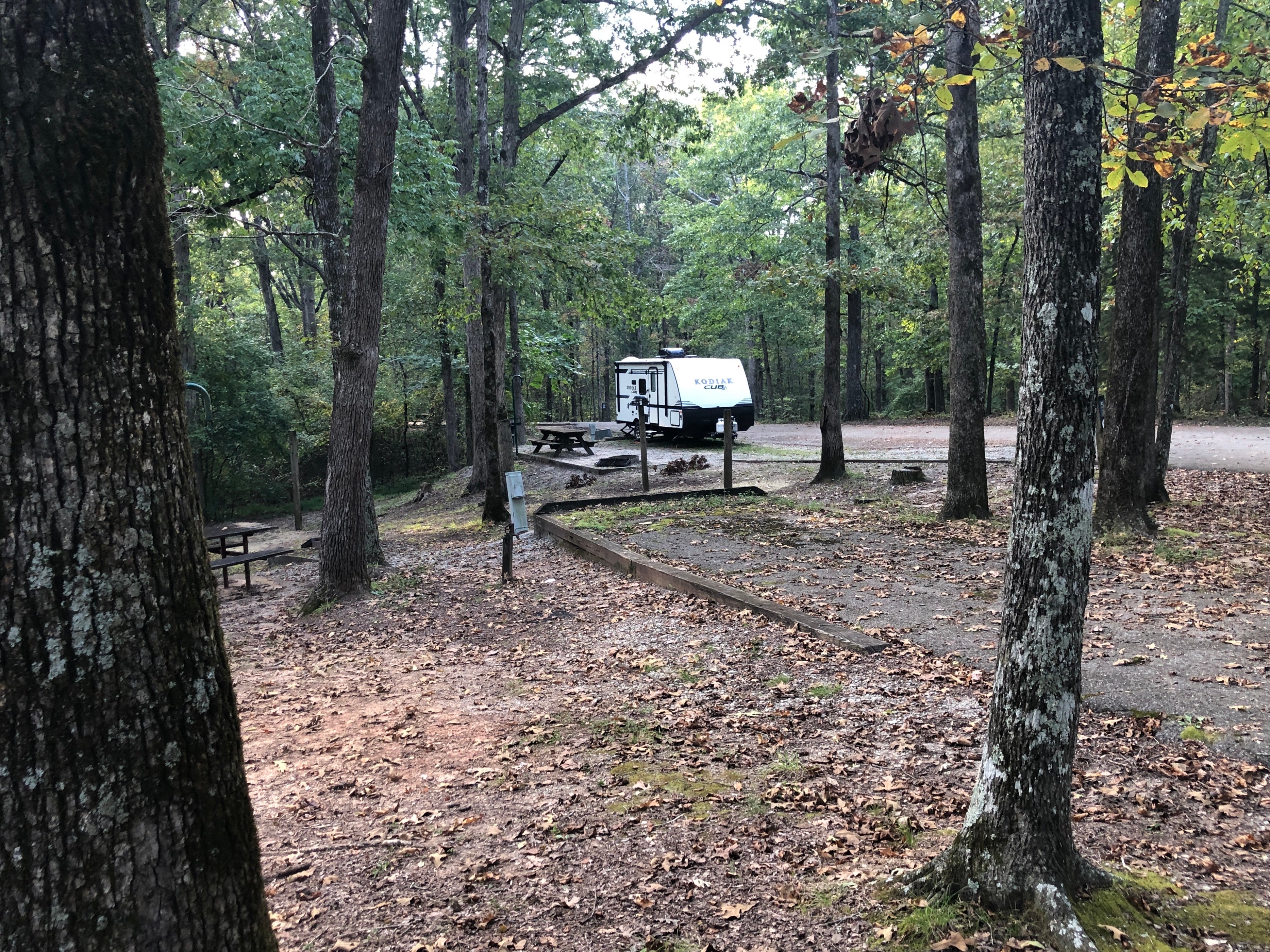 Camper submitted image from Natchez Trace Wrangler Camp — Natchez Trace State Park - 1