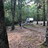 Review photo of Natchez Trace Wrangler Camp — Natchez Trace State Park by Mr. H., October 5, 2020