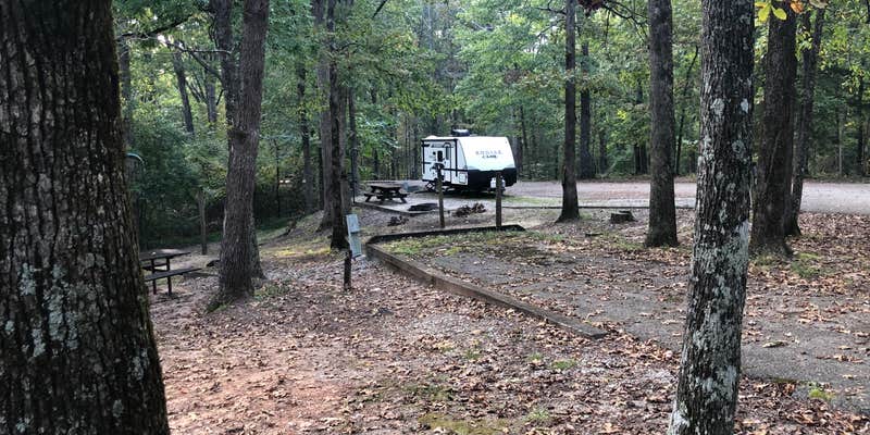 Camper submitted image from Natchez Trace Wrangler Camp — Natchez Trace State Park