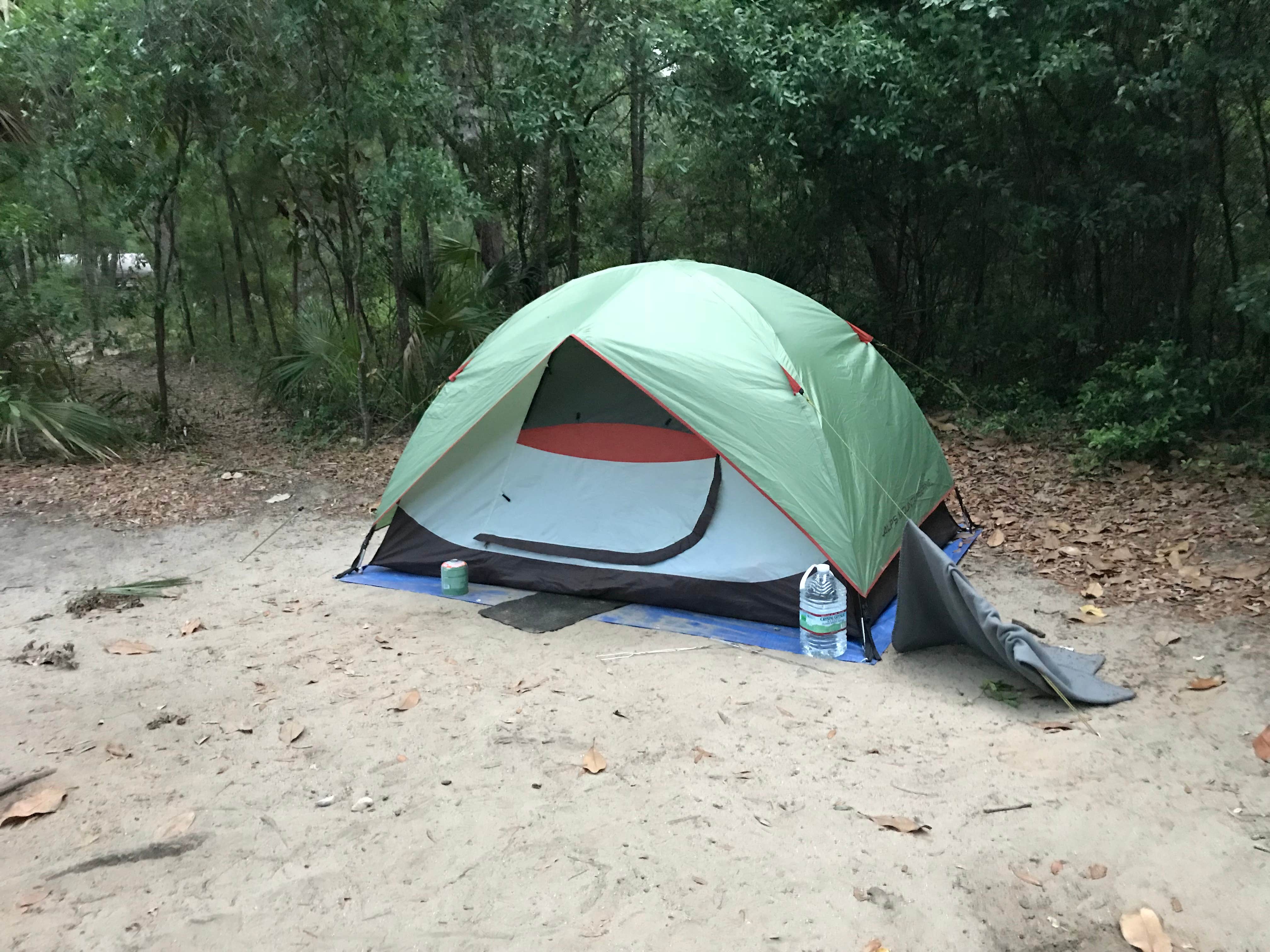 Camper submitted image from Edisto Beach State Park Campground - 2