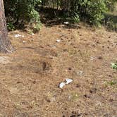 Review photo of Pumphouse Wash (FR 237) Dispersed Camping Area by Michael C., October 5, 2020