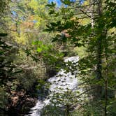 Review photo of Chilhowee Recreation Area by Olaf I., October 5, 2020