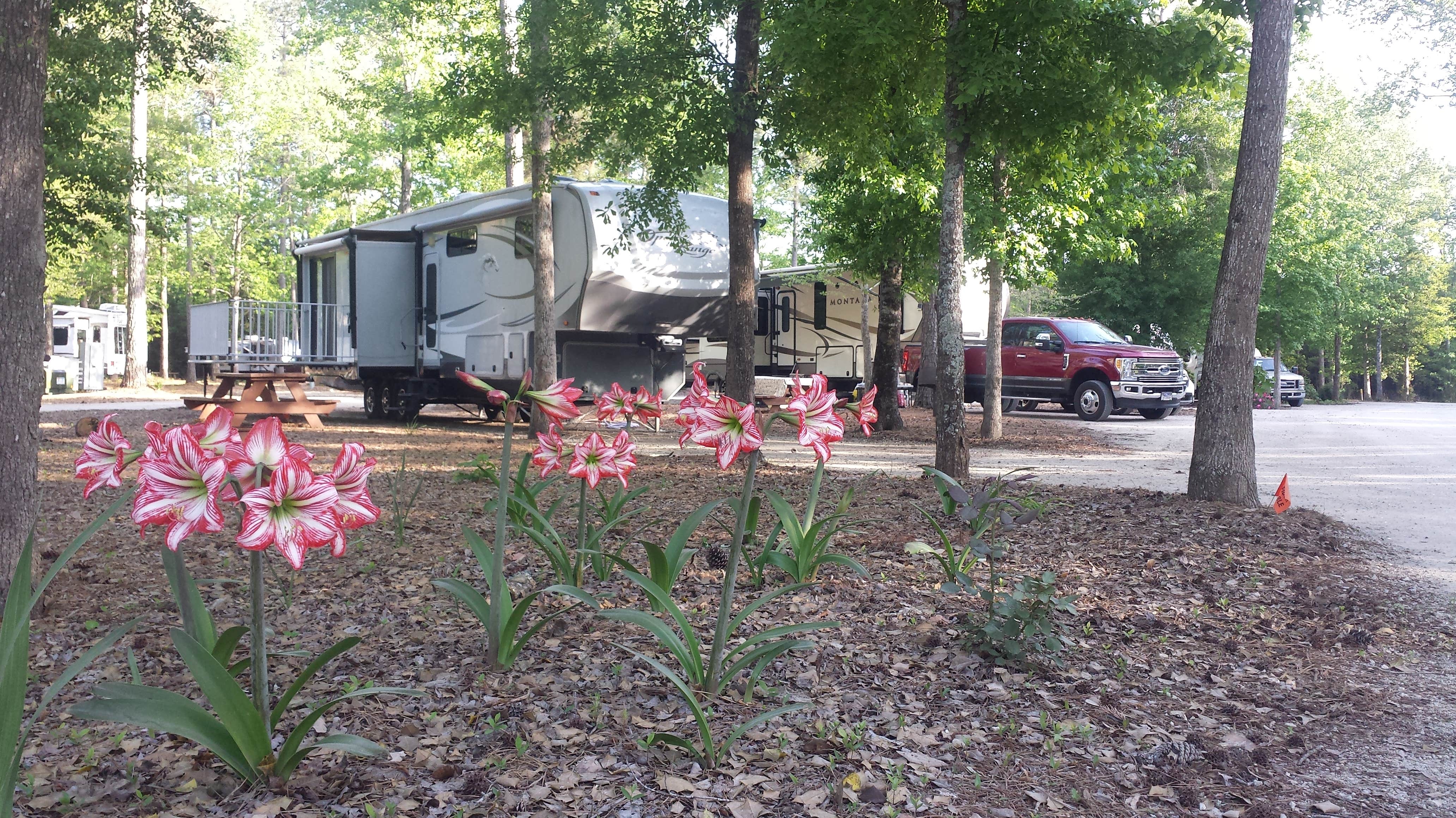 Camper submitted image from CarrollWoods RV Park at Grapefull Sisters Vineyard - 3