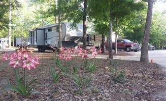 Christine C.'s photo of rv camping at CarrollWoods RV Park at Grapefull Sisters Vineyard near Myrtle Beach, SC