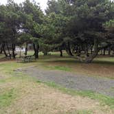 Review photo of Twin Harbors State Park Campground by Jessica G., October 5, 2020