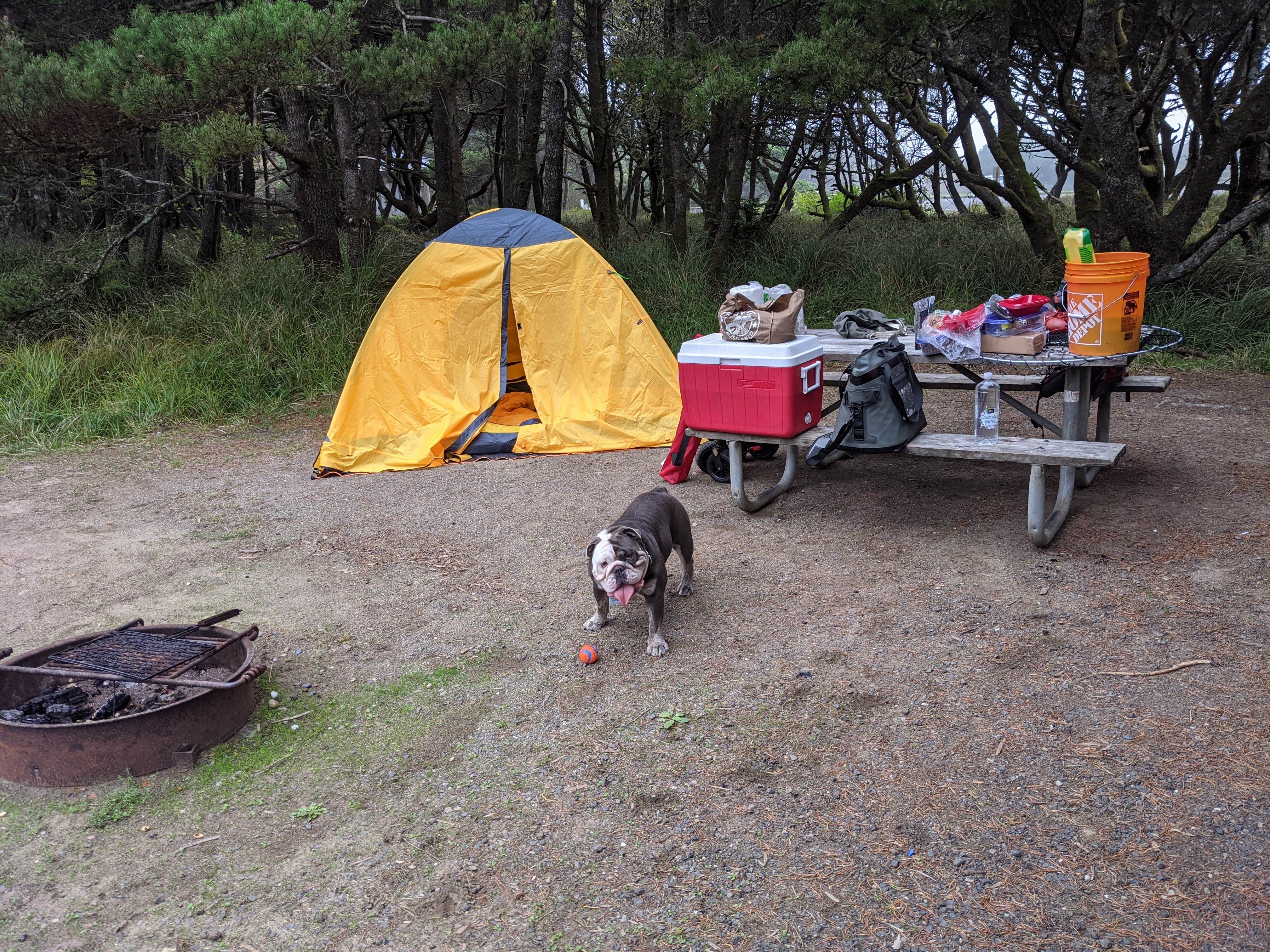 Jessica G.'s photo at Twin Harbors State Park Campground near Westport, WA
