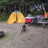 Review photo of Twin Harbors State Park Campground by Jessica G., October 5, 2020