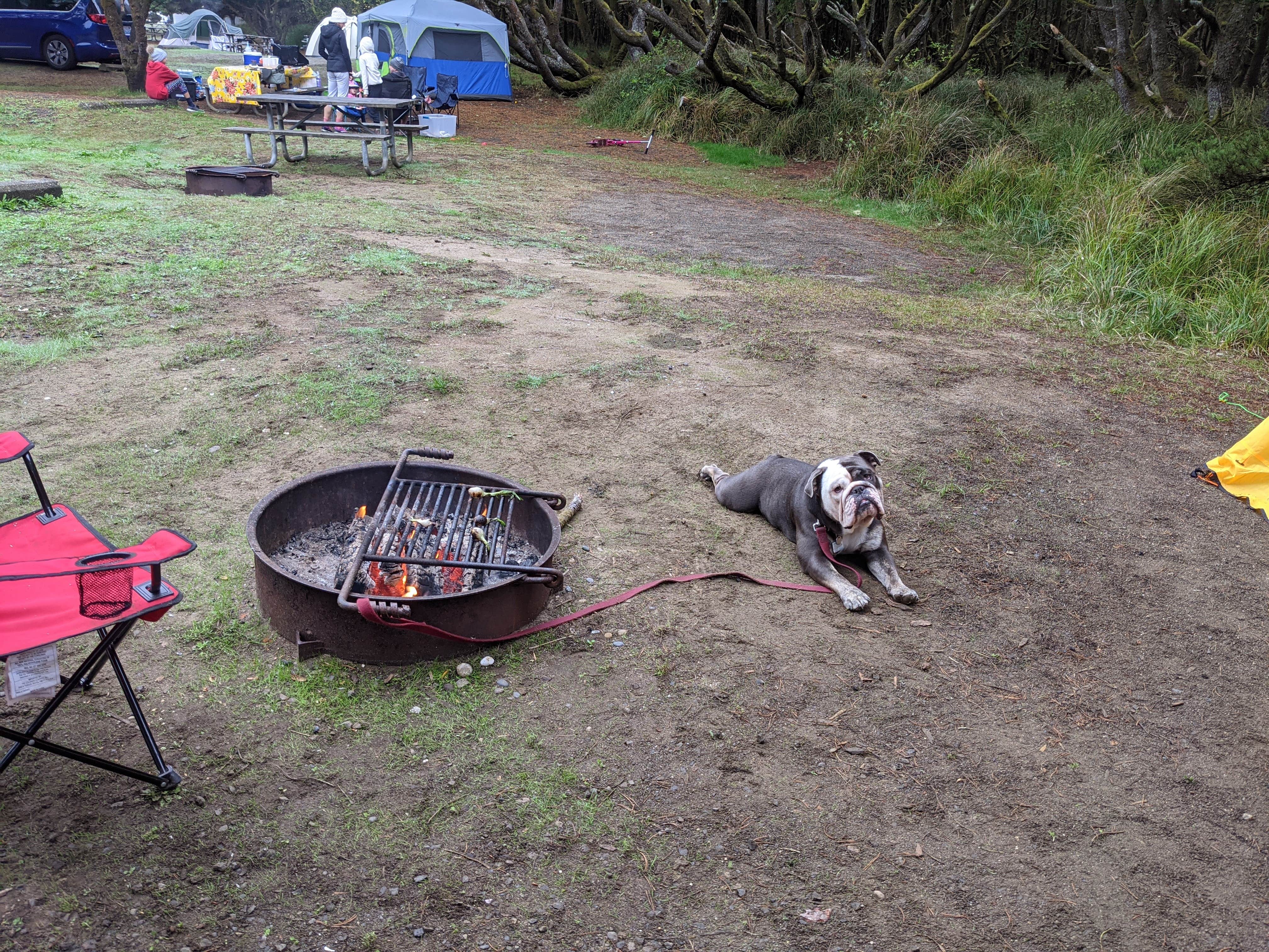 Jessica G.'s photo at Twin Harbors State Park Campground near Westport, WA