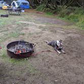 Review photo of Twin Harbors State Park Campground by Jessica G., October 5, 2020