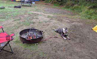 Jessica G.'s photo at Twin Harbors State Park Campground near Aberdeen, WA