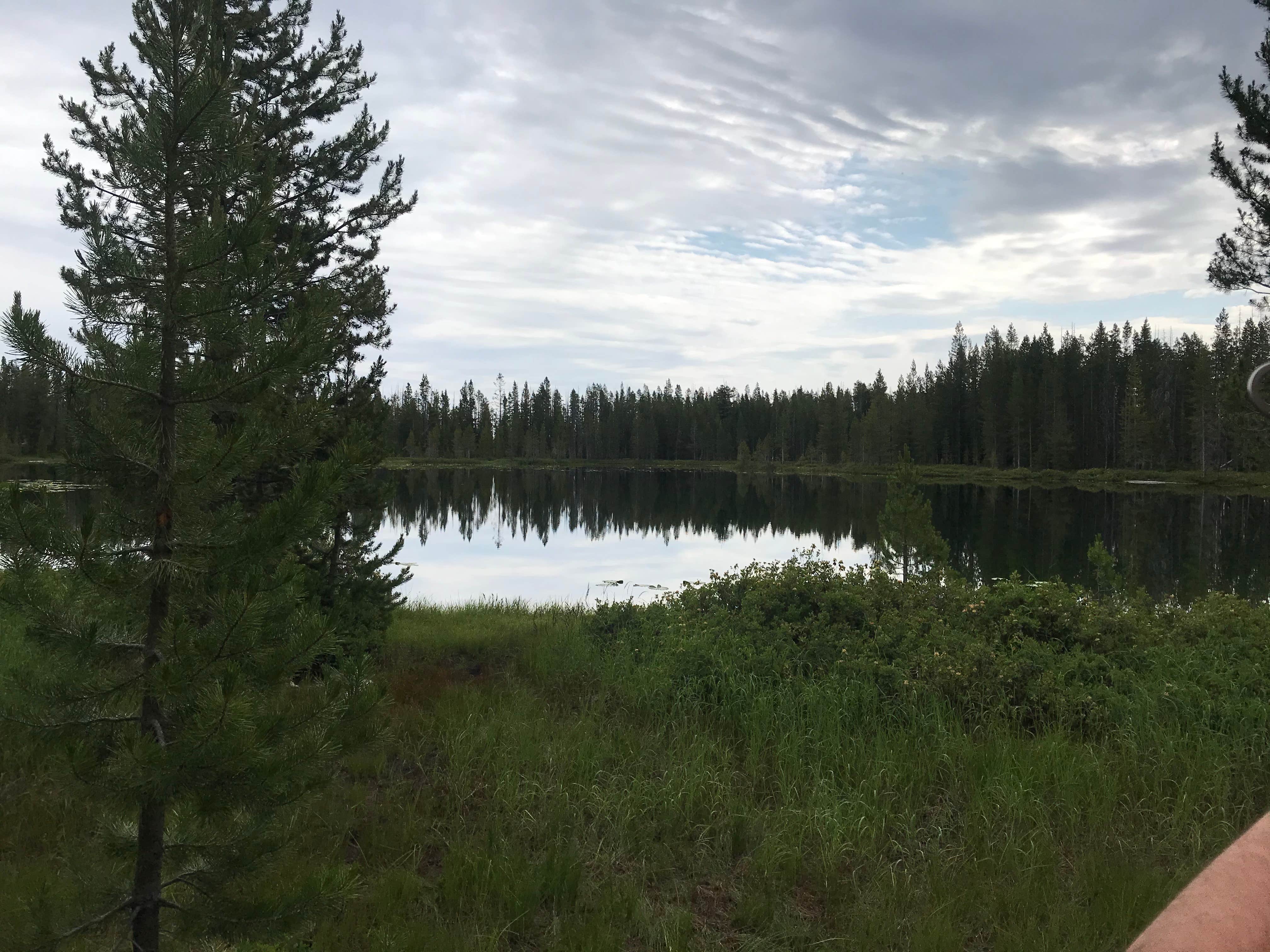 View All