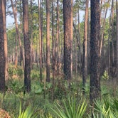 Review photo of Blackwater River State Park Campground by Brittany R., October 5, 2020