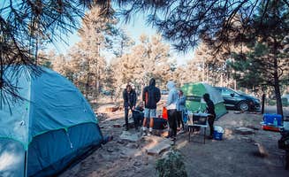Sarah I.'s photo at Mogollon Campground near Young, AZ