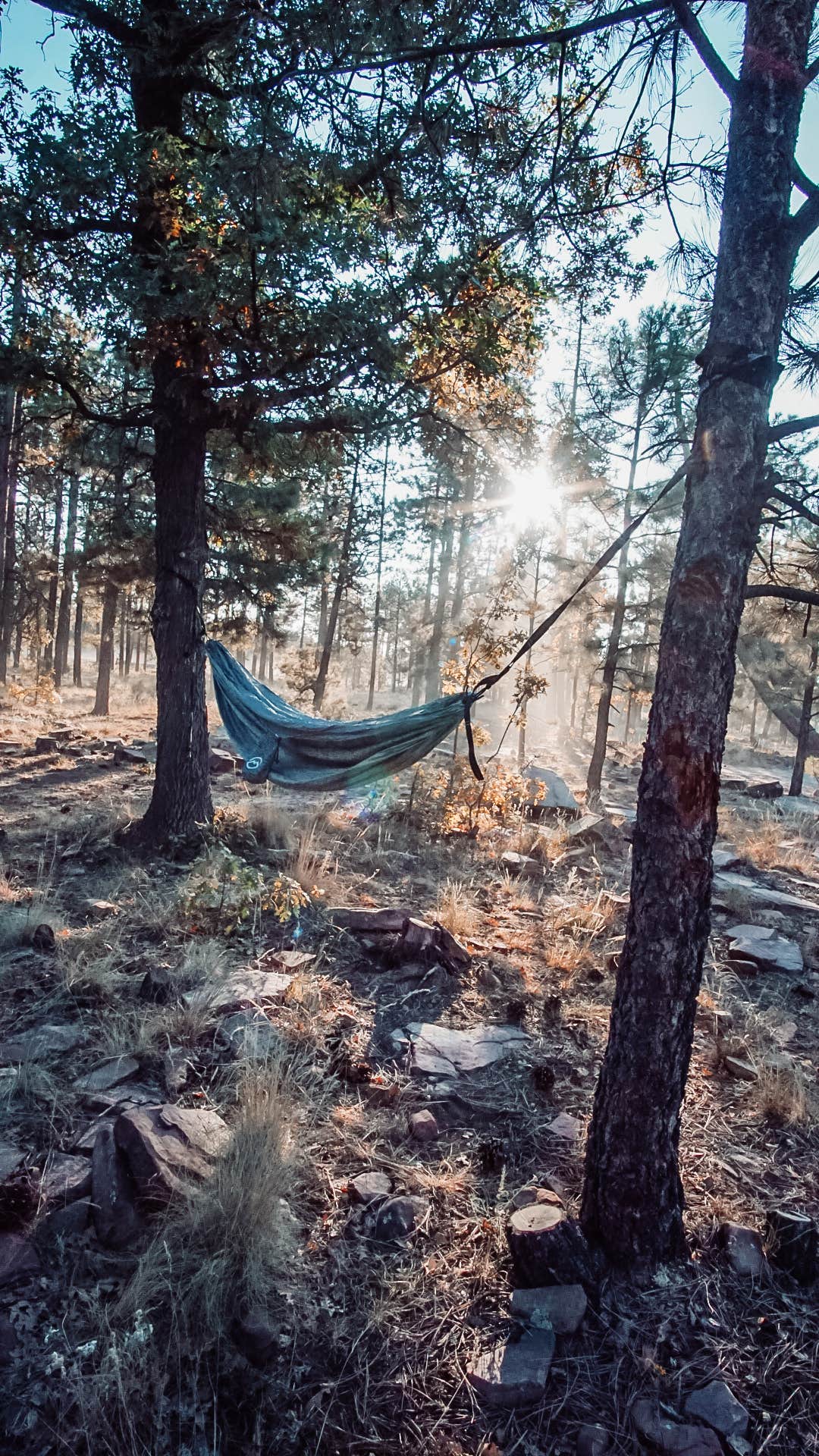 Camper-submitted photo at Mogollon Campground near Payson, AZ