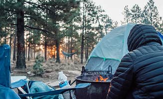 Sarah I.'s photo at Mogollon Campground near Young, AZ