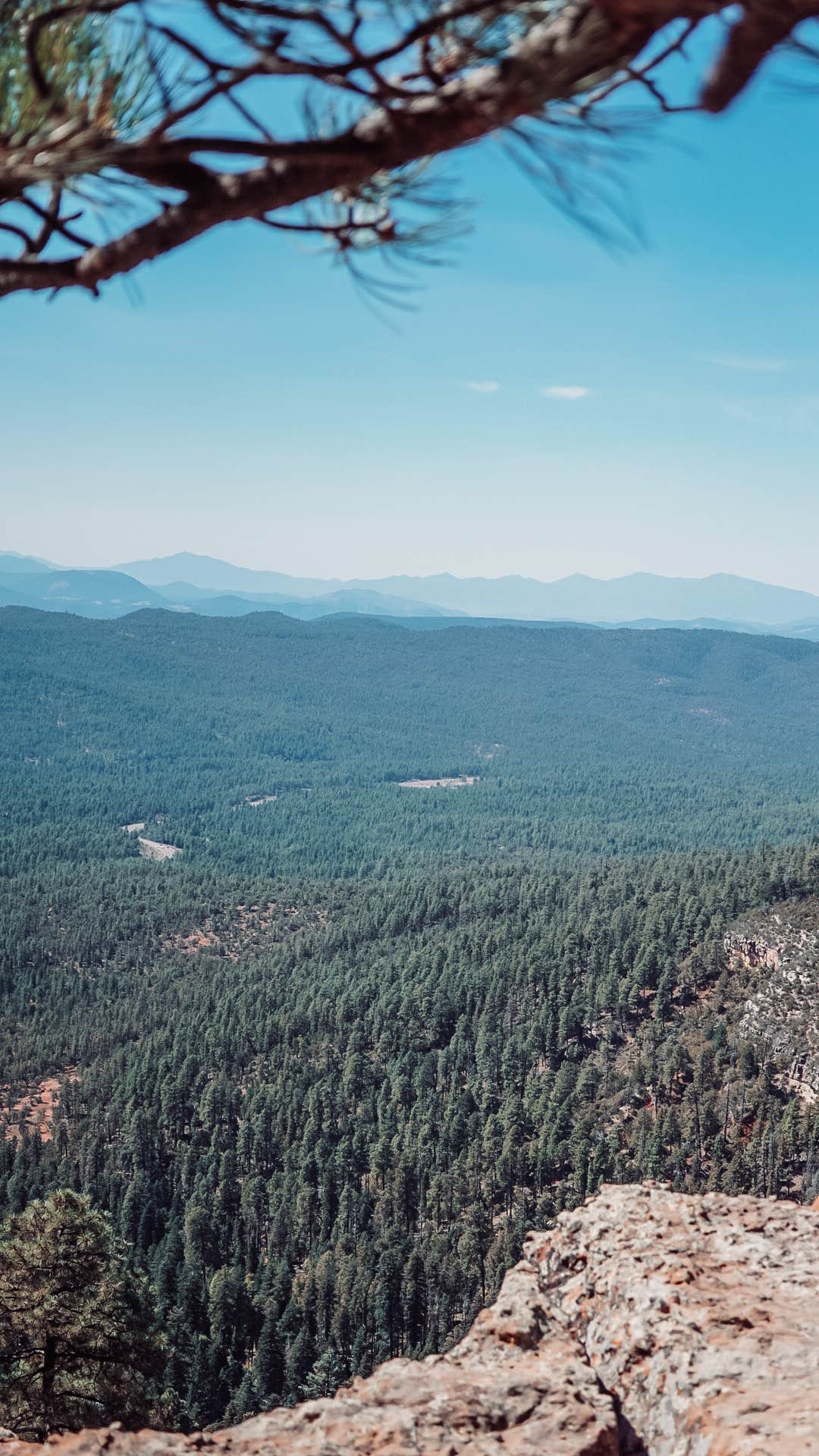 Camper-submitted photo at Mogollon Campground near Payson, AZ