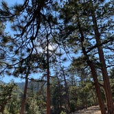 Review photo of McWilliams Campground by Shalynn S., October 5, 2020