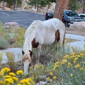 Review photo of McWilliams Campground by Shalynn S., October 5, 2020