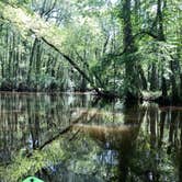 Review photo of Aiken State Park Campground by Courtney R., May 19, 2018