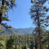 Review photo of McWilliams Campground by Shalynn S., October 5, 2020