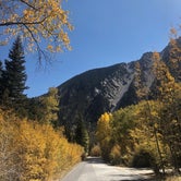 Review photo of Cascade (colorado) by Lindsay W., October 5, 2020